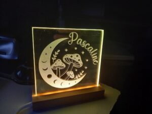 mirroirPascaline