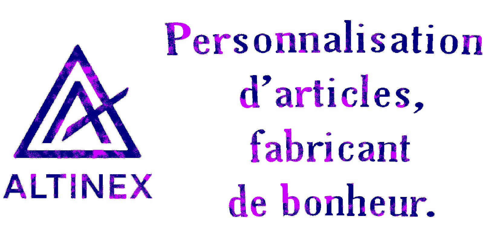 altinex.fr